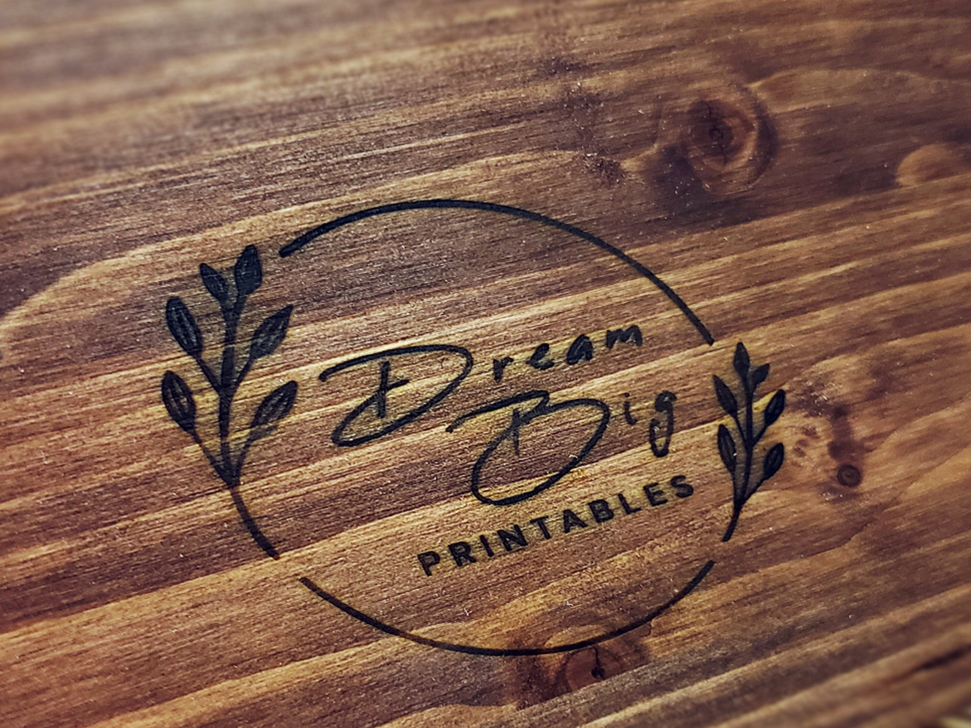Family Name Wood Sign | Personalized Wooden Sign | Established Sign